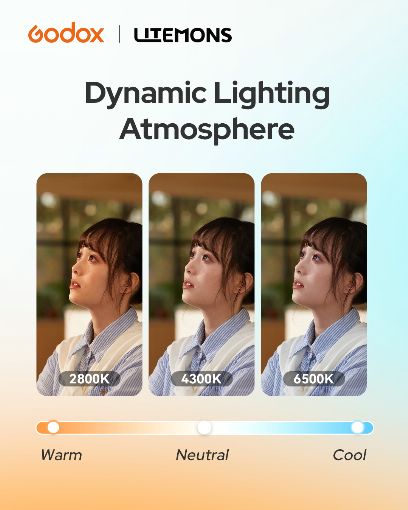 �������U�Ϥ��i�^��ï