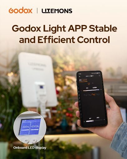 �������U�Ϥ��i�^��ï