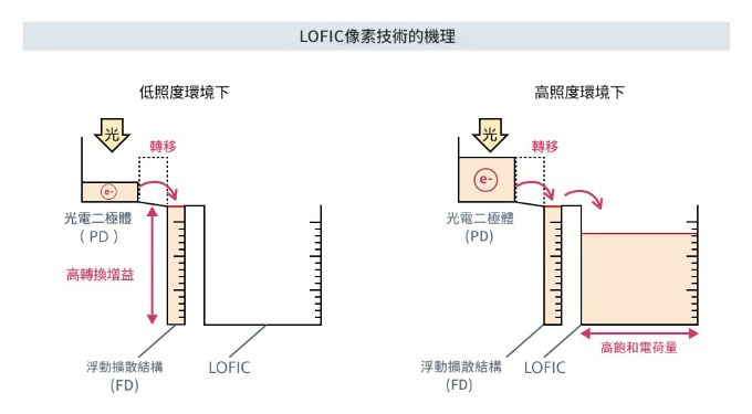 �������U�Ϥ��i�^��ï