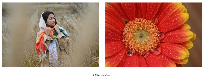 �������U�Ϥ��i�^��ï