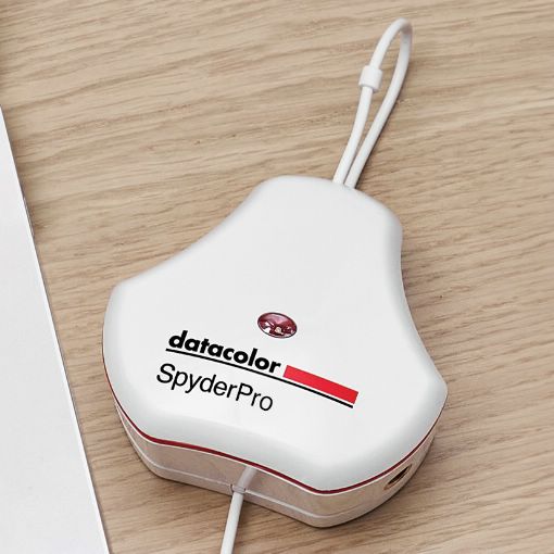 �������U�Ϥ��i�^��ï